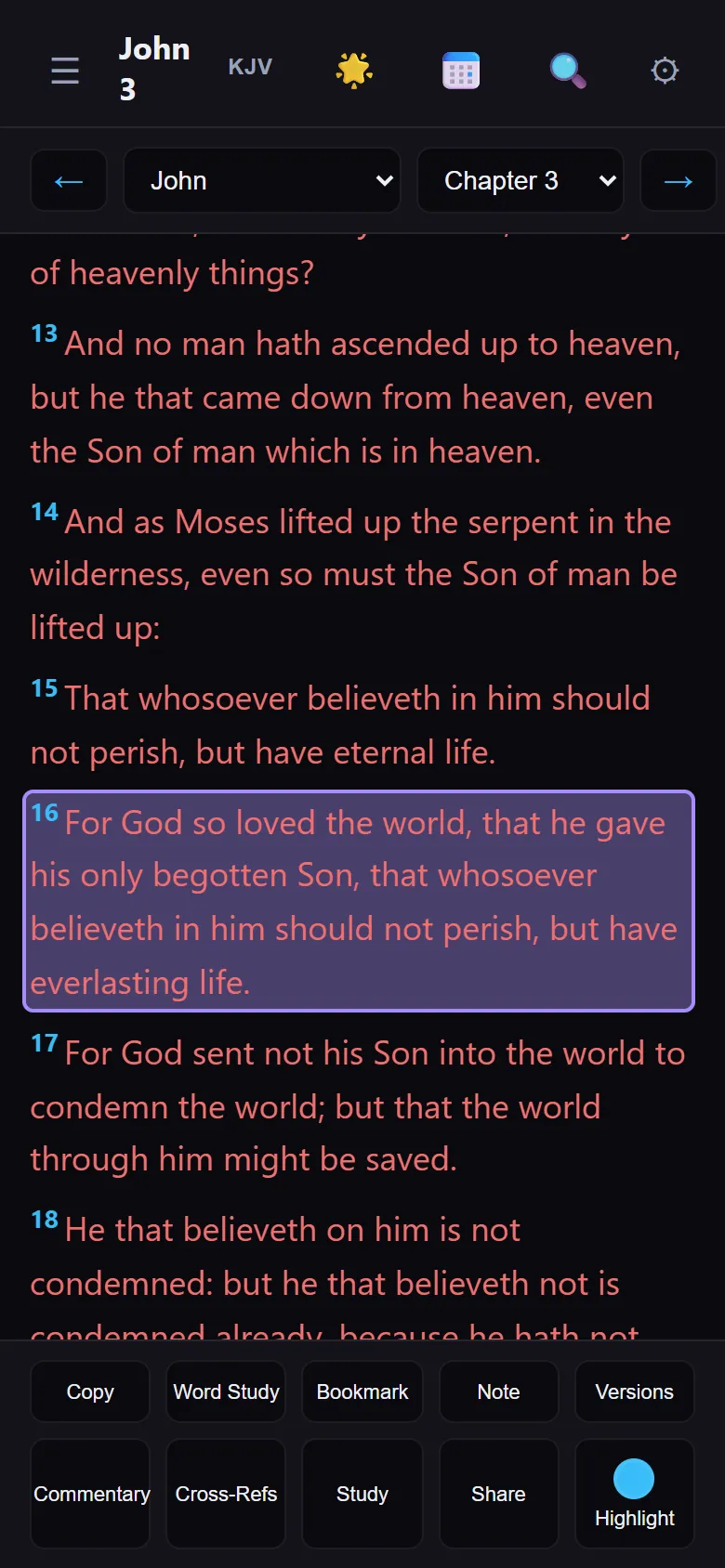 John chapter 3 open in the Study Bible, verse 16 selected, with the study buttons below
